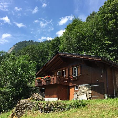 Chalet Julian Lütschenthal Exteriér fotografie